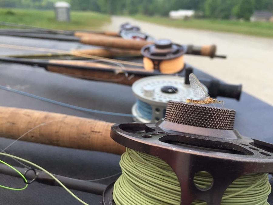 Cortland Classic Modern Trout