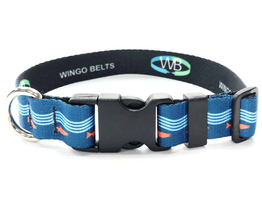 Wingo dog collar online
