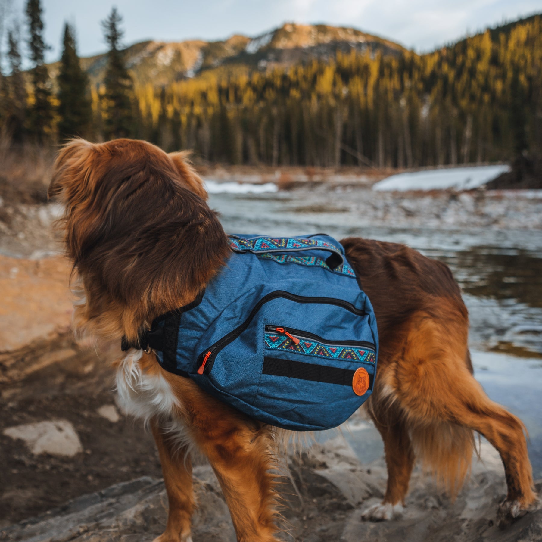 Wilderdog Dog Backpack Pacific Blue / Small