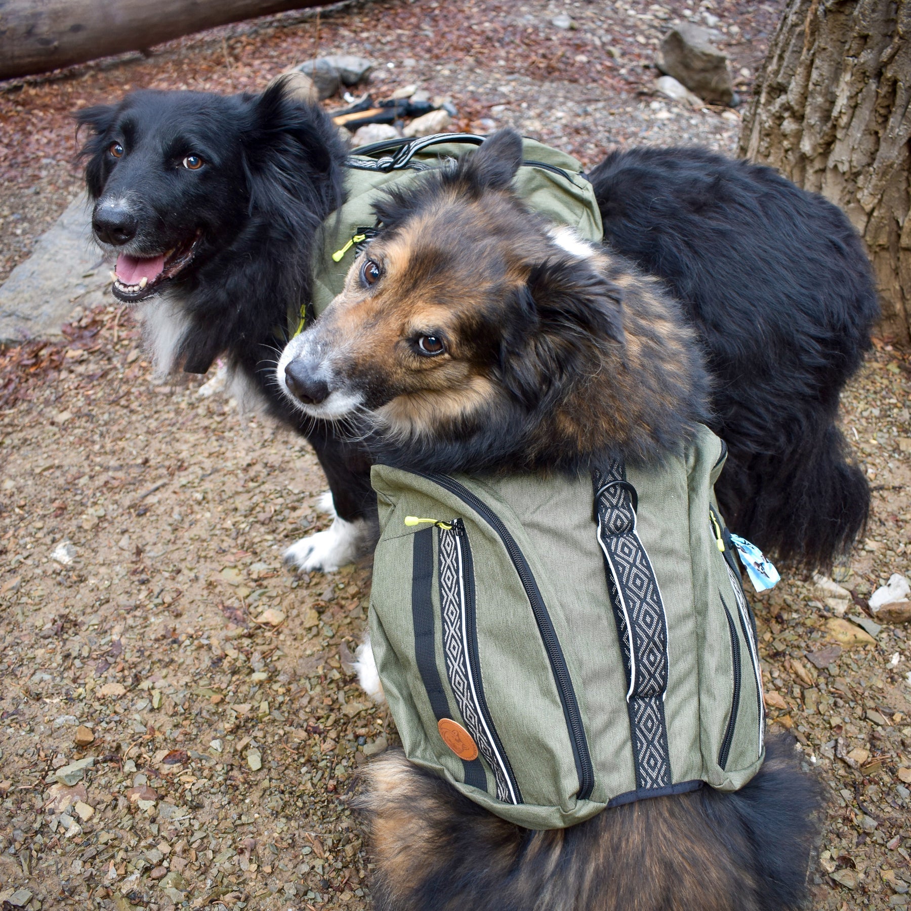 Wilderdog Dog Backpack Olive Green / Small