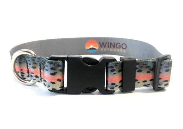 Wingo Outdoors Wingo Dog Collar RYW Rainbow Trou