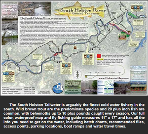 South Holston Rive and Fish Map