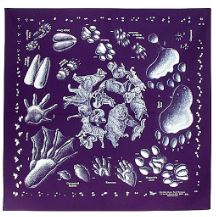 Bandanas