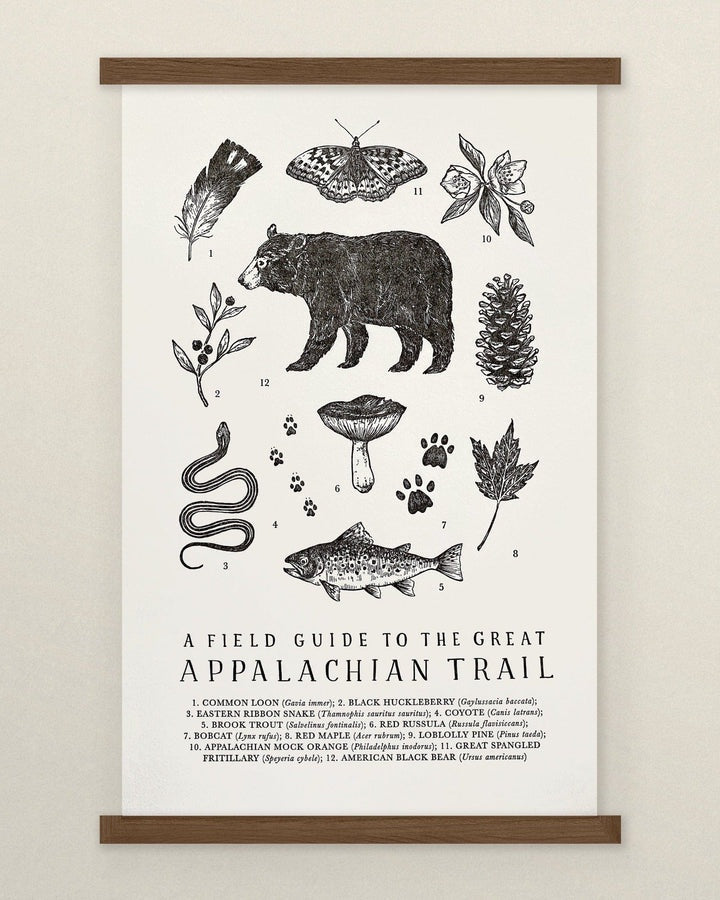 The Wild Wander Prints