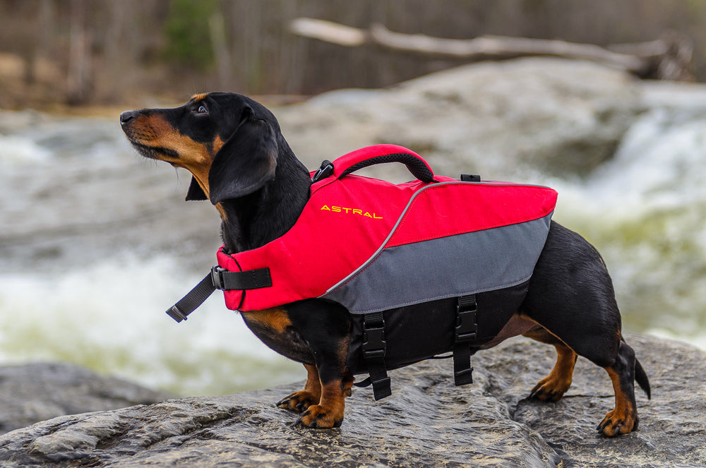 Astral Designs Astral Bird Dog PFD Hound Grey