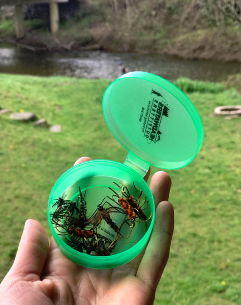 Biodegradable Green Fly Cups