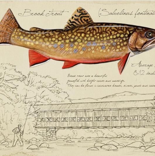 Stoneridge Art Studios Stoneridge Art Prints Brook Trout